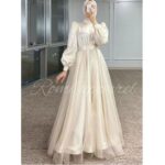 Party wear long dress
